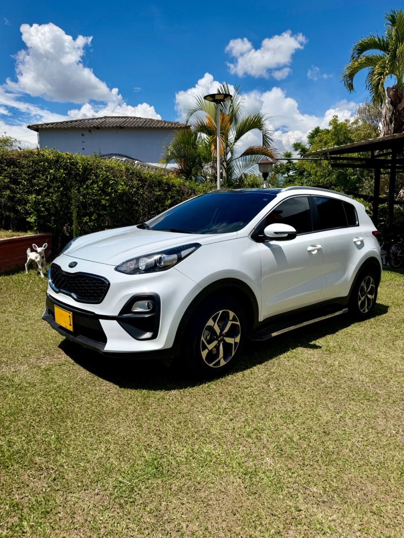 Kia Sportage Vibrant 2022 — foto 2 de 3